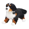 Alps Bernese Mountain Dog