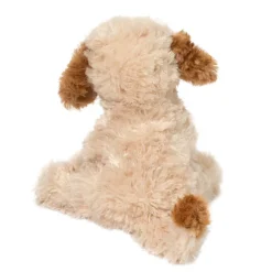 Biscuit Cavapoo