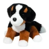 Bowie Bernese Mountain Dog Soft