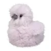Cara Lilac Silkie Chick