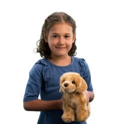 Chap Golden Retriever