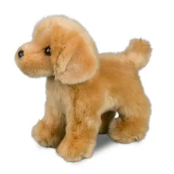 Chap Golden Retriever