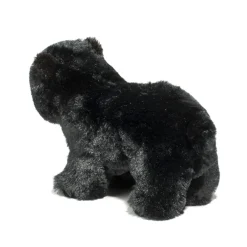 Charcoal Black Bear