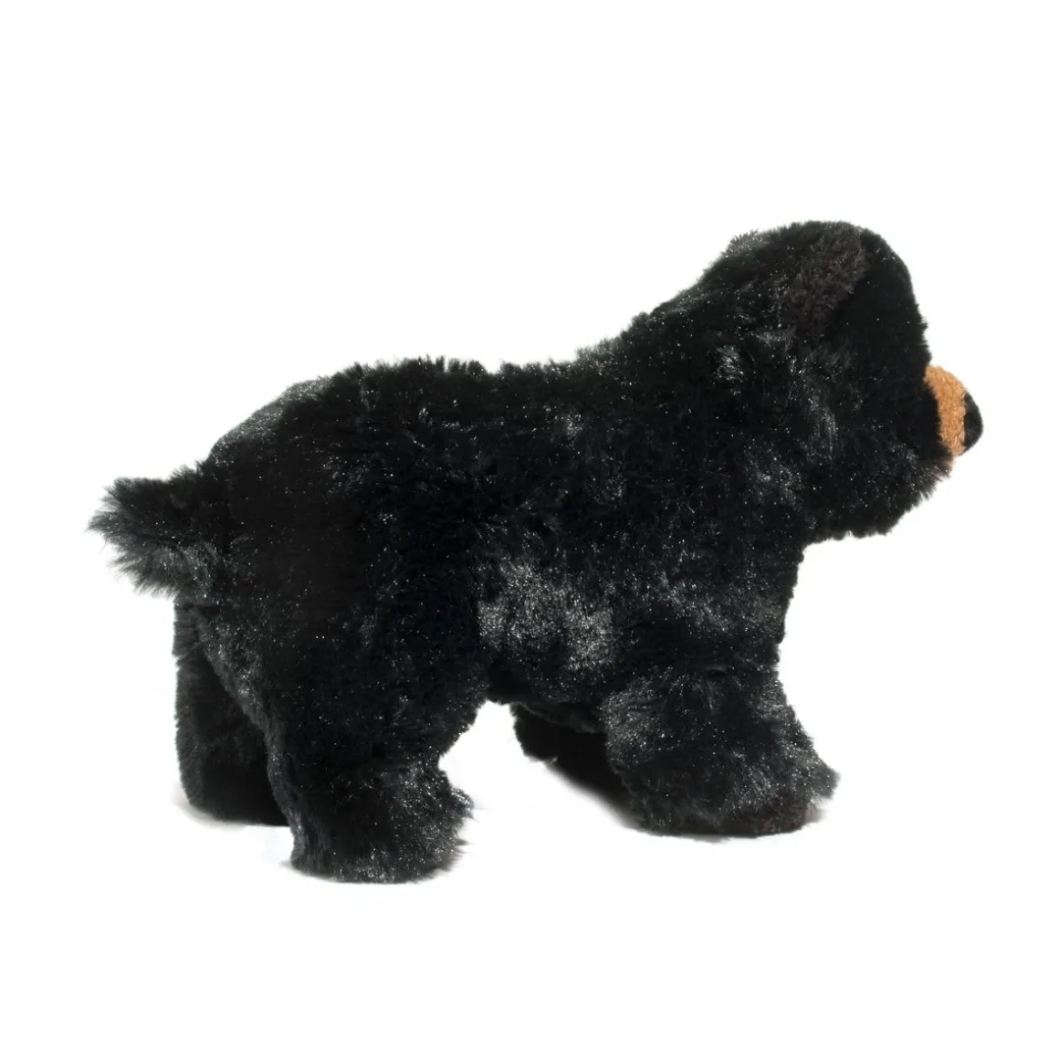 Charcoal Black Bear
