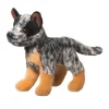 Clanger Australian Cattle Dog