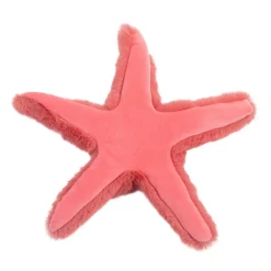Coral Starfish