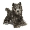 Hazel Cairn Terrier