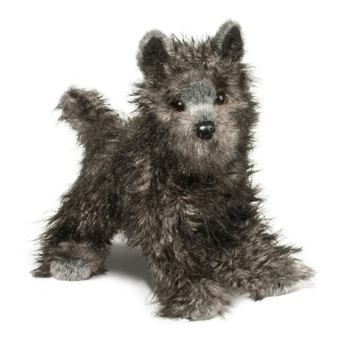 Hazel Cairn Terrier