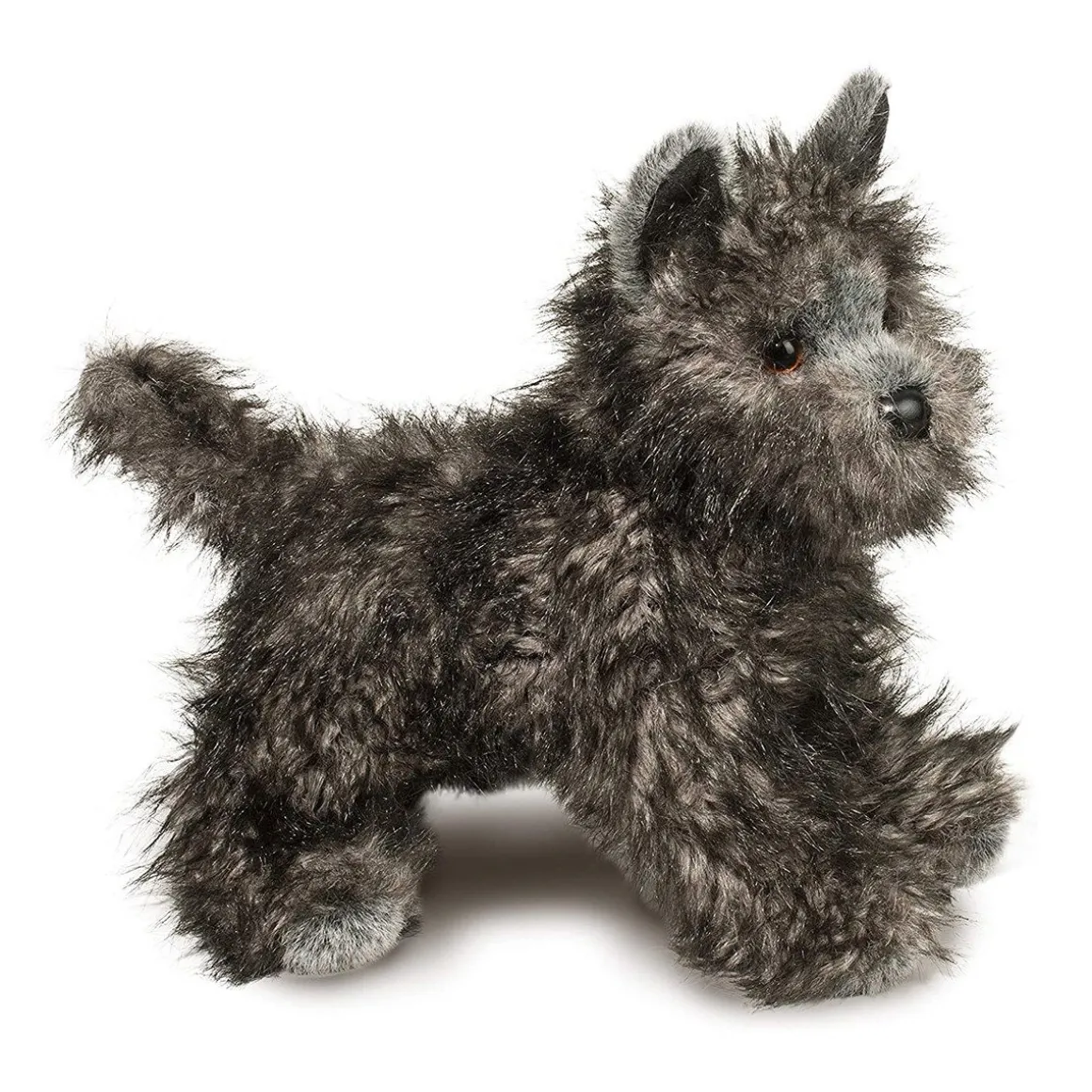 Hazel Cairn Terrier