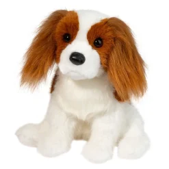 Kingsley Cavalier King Charles Spaniel