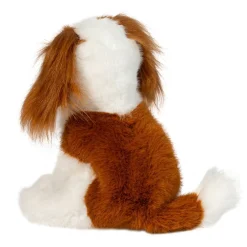 Kingsley Cavalier King Charles Spaniel