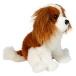 Kingsley Cavalier King Charles Spaniel