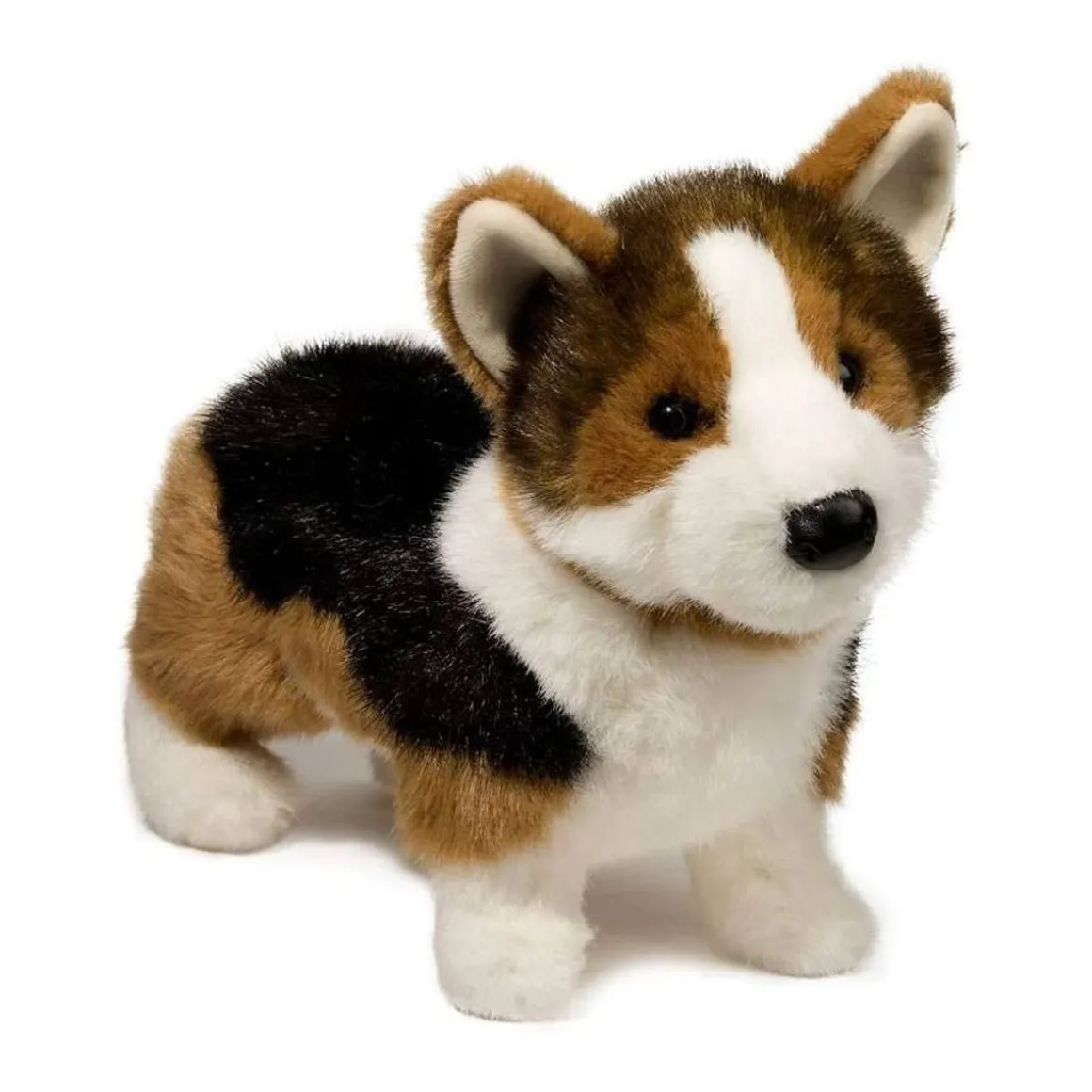 Kirby Tri-Colored Corgi