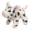 Leroy Black Spotted Pig