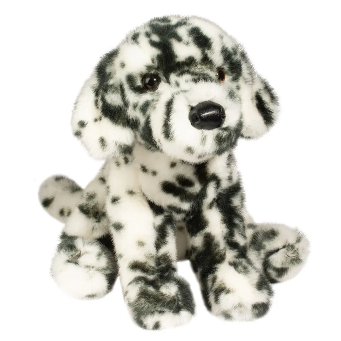 Mackay Dalmatian