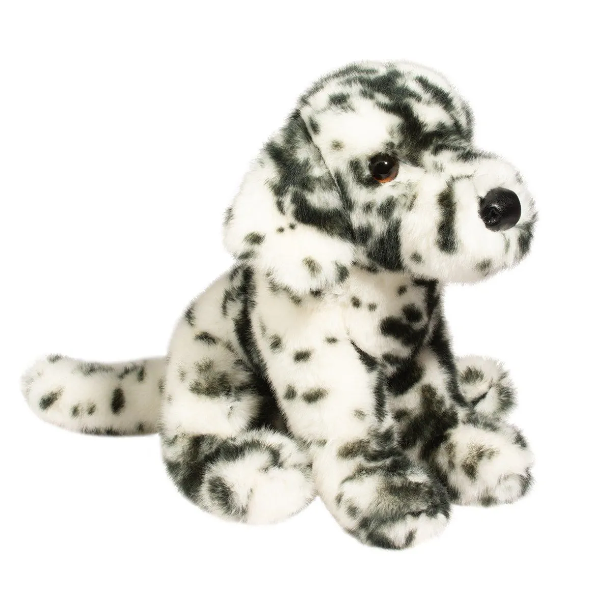 Mackay Dalmatian