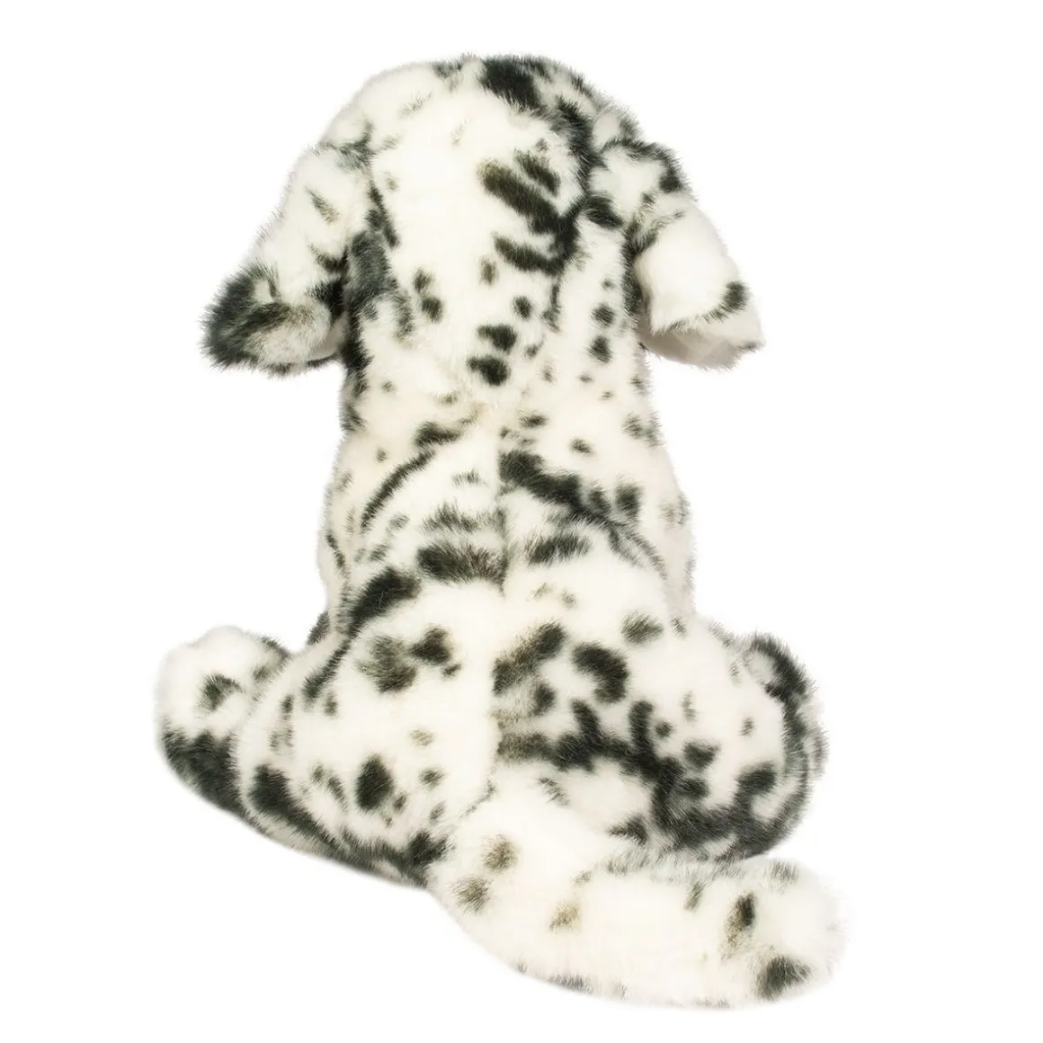 Mackay Dalmatian