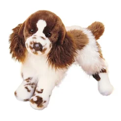 Ogilvy Springer Spaniel