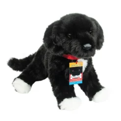 Olive Black Lab / Pit Bull Mix Rescue Pup