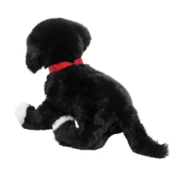 Olive Black Lab / Pit Bull Mix Rescue Pup