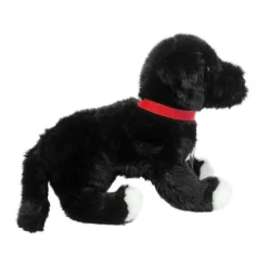 Olive Black Lab / Pit Bull Mix Rescue Pup