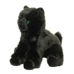 Salem Black Cat