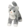 Scatter Gray Cat