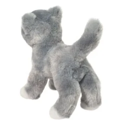 Scatter Gray Cat