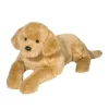 Sherman Golden Retriever, Large