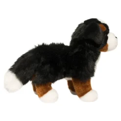 Stevie Bernese Mountain Dog