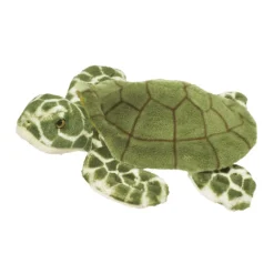 Toti Sea Turtle