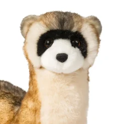 Vince Black Footed Ferret