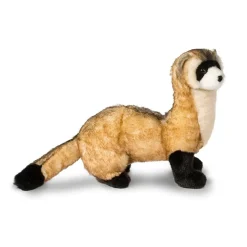 Vince Black Footed Ferret