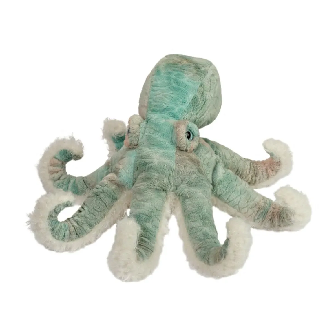Winona Octopus
