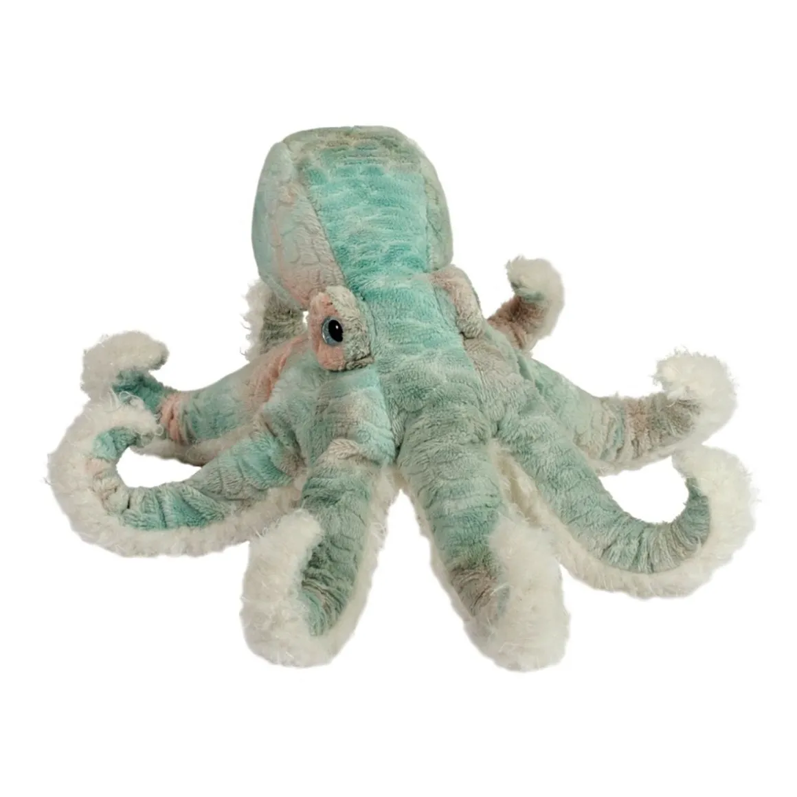 Winona Octopus