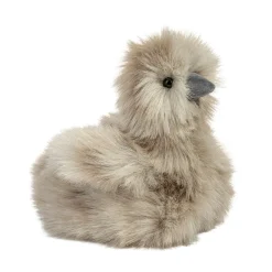 Zara Gray Silkie Chick